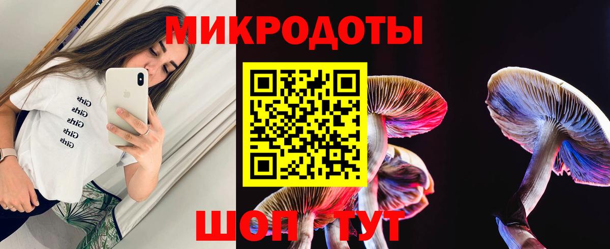 Псилоцибиновые грибы Psilocybe  что такое наркотик  Галлюциногенные грибы GOLDEN TEACHER  Кингисепп  Вход с VPN 