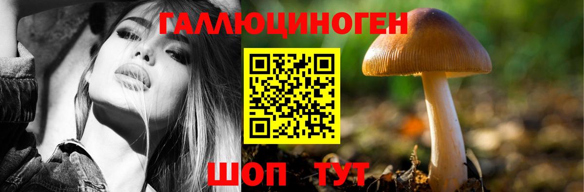 Галлюциногенные грибы мухоморы Кингисепп